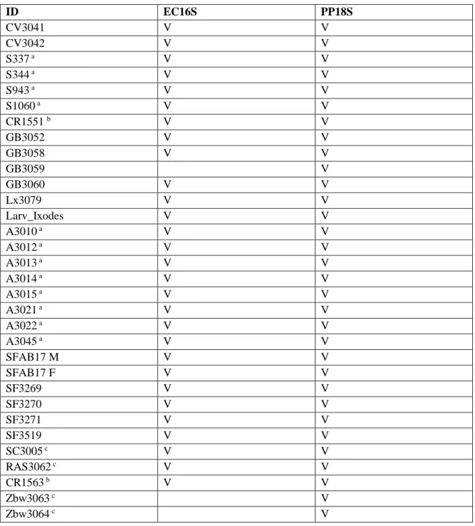 Tabela 3.4: Amostras que foram usadas para pesquisa de agentes patogénicos com o par de primers EC16S (16S da família  Anaplasmataceae) e com o par de primers PP18S (18S dos géneros Babesia e Hepatozoon)