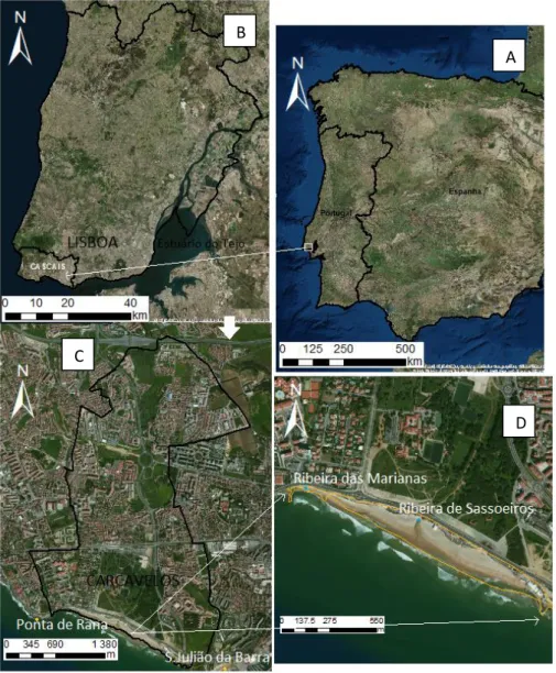 Figura II. 1 - Enquadramento Geográfico da área em estudo. A: Portugal Continental; B: Cascais; C: 