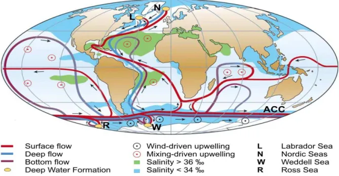 Figure 2.1: Global termohaline circulation. Extracted from Kuhlbrodt (2007). 