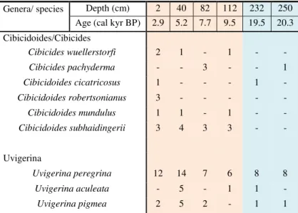 Table  4.1  Results  of  the  preliminary  selection  of  benthic  foraminifera  from  core  GeoB3228-1,  considering the genera  Cibicidoides/Cibicides  and Uvigerina (orange and blue background show the  Holocene and Termination I, respectively)