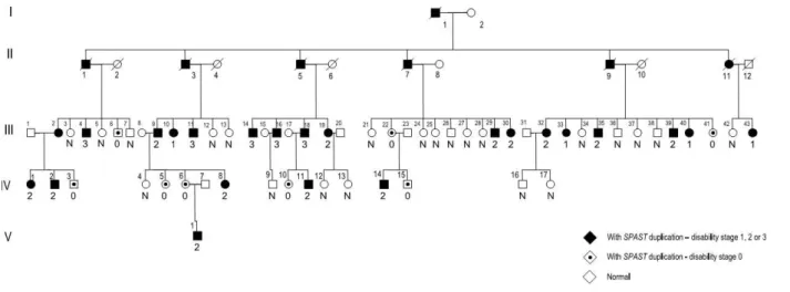 Figura  10.  Pedigree  da  família  com  os  52  indivíduos  estudados  por  Mitne  et  al.,  2007
