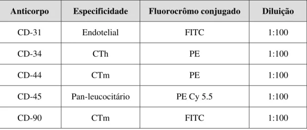 Tabela 1 – Anticorpos utilizados para caracterização das células da medula óssea 