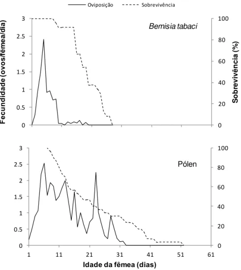 Figura 2 - Fecundidade e sobrevivência de fêmeas de A. swirskii alimentado com de B. tabaci  ou pólen de T