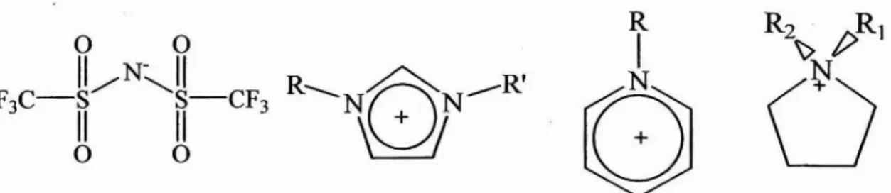Figura 1.1 - O ânion bis(tritluonnetanosulfonil)amida e os cátions dialquilimidazólio, alquil-piridínio e pirrolidínio, presentes em muitos sais líquidos à temperatura ambiente.