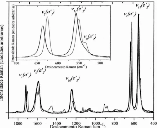 Figura IV.1 - Espectros Raman do CTBA (linha fina) e da solução aquosa de croconato de lítio (linha grossa)