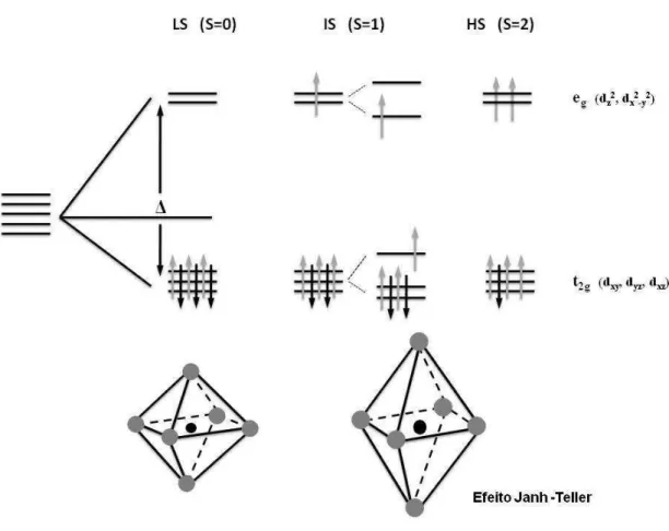 Figura 1.5: Splitting do orbital 3d e os poss´ıveis estados de spin para a configura¸c˜ao 3d 6 , e a a¸c˜ao do efeito Jahn-Teller.