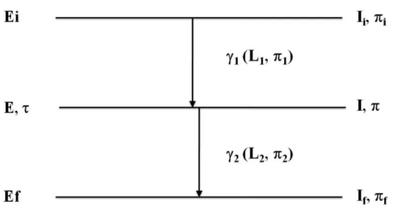 Figura 2.1: Diagrama esquem´atico do decaimento de uma cascata gama.