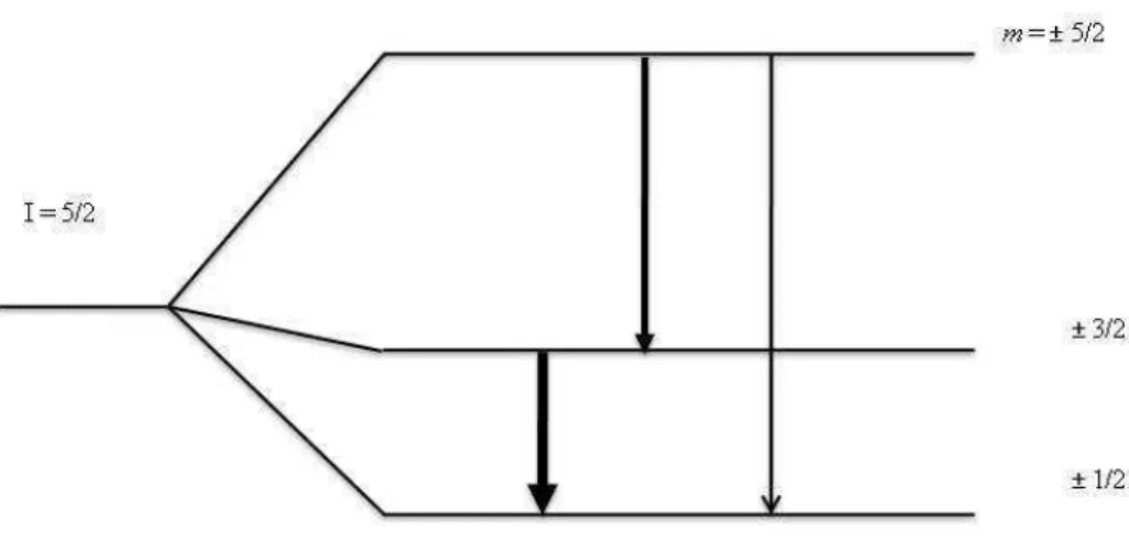 Figura 2.5: Desdobramento do estado intermedi´ario 5/2 devido a um gradiente de campo el´etrico axialmente sim´etrico.