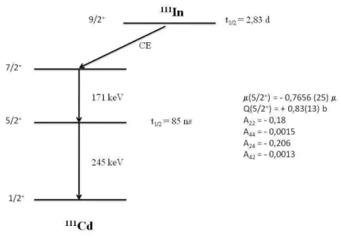 Figura 2.7: Esquema de n´ıveis de energia do 111 Cd alimentados pelo decaimento do 111 In via captura eletrˆonica.