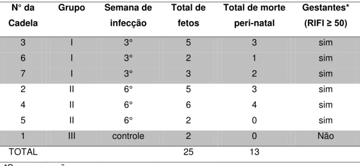 Tabela  1-  Observações  reprodutivas  das  gestantes,  controle  e  infectadas  com  10 8 taquizoítos de N