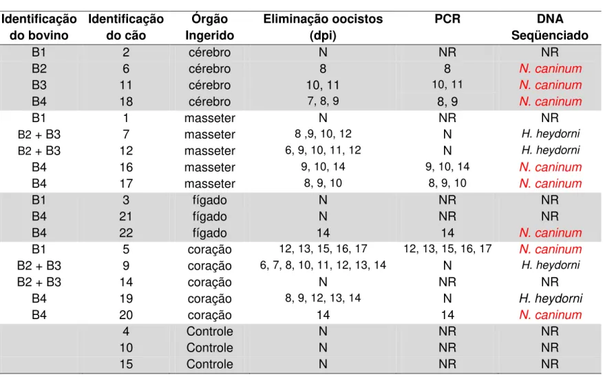 Tabela  5-    Isolamento  de  N.  caninum  e  H.  heydorni  em  cães  alimentados  com  diferentes  tecidos  de  bovinos  soropositivos a N