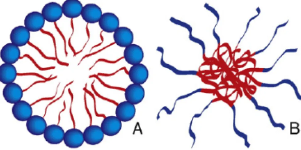 Figura  4:  A)  Micela  não  polimerizada,  constituída  por  moléculas  anfifílicas;  B)  Micela polimérica constituída por blocos de copolímeros anfifílicos
