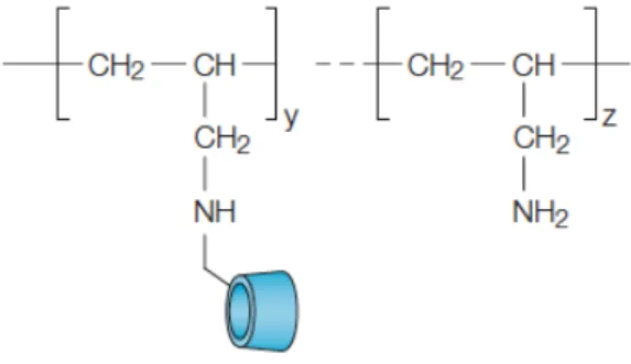 Figura 7 : Polialilamina com ciclodextrina pendente  [32] 