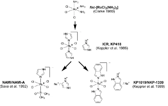 Figura I-8. Esquema genealógico dos compostos de ruténio antitumorais  74 . 