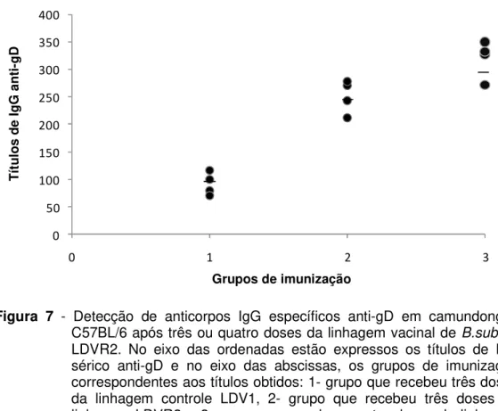 Figura  7  -  Detecção  de  anticorpos  IgG  específicos  anti-gD  em  camundongos  C57BL/6 após três ou quatro doses da linhagem vacinal de B.subtilis  LDVR2