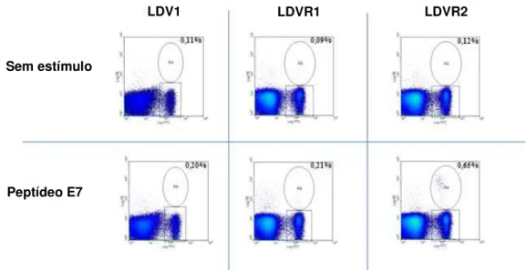 Figura  8  -  Análise  de  linfócitos  T  CD8 +   específicos  para  o  peptídeo  P E7,  em  camundongos  C57BL/6  imunizados  por  via  subcutânea  com  as  linhagens  vacinais  de  B.subtilis  LDV1,  LDVR1  ou  LDVR2