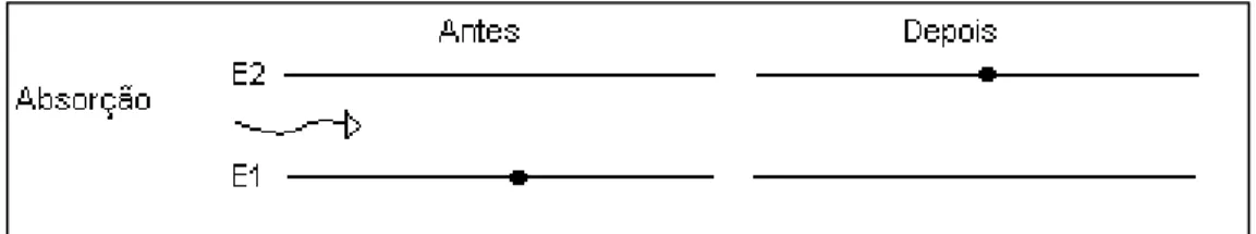 Figura 3 – Representação do processo de absorção da radiação eletromagnética pela matéria