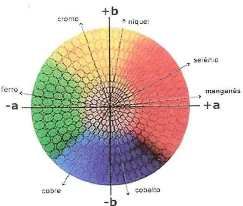 Figura 8 – Efeito de colorantes em vidros sobre as coordenadas colorimétricas [11]. 
