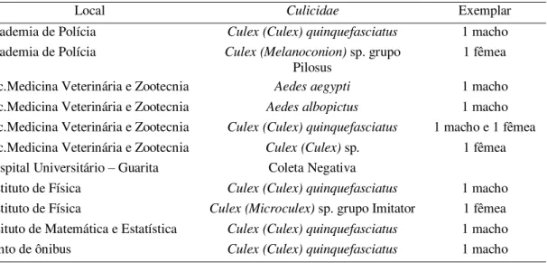 Tabela 3 – Resultado da coleta com aspirador elétrico em unidades onde a adultrap  foi positiva para Aedes aegypti e outros pontos considerados de risco, em 28/04/2010 