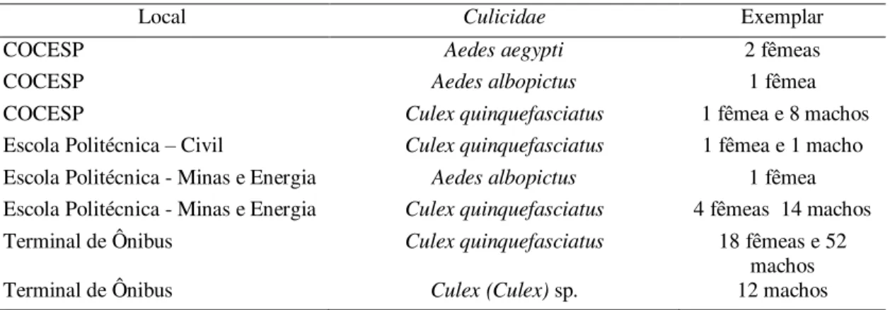 Tabela 4  –  Resultado da coleta com aspirador elétrico em unidades onde a adultrap  foi positiva para Aedes aegypti, em 20/05/2010 