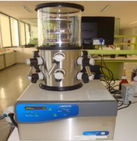 Figura 1- Liofilizador experimental de marca Labconco 