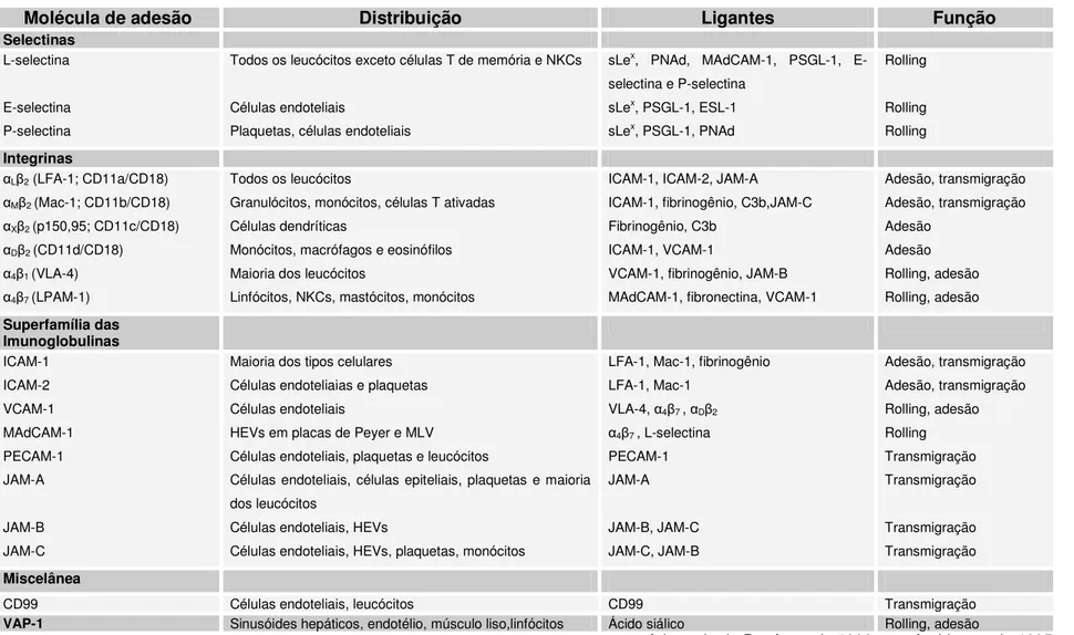 Tabela 1. Resumo das moléculas de adesão e seus ligantes envolvidos na interação leucócito-endotélio 