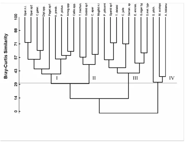 Figure 6 - Species assemblages considering the most representative species, as defined by the  R-mode clustering (Pillai’s trace = 0.23 (P<0.05)