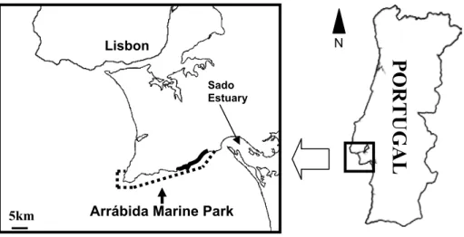Figure 1 - Study site location. Dashed line indicates the limit of the Marine Park. 