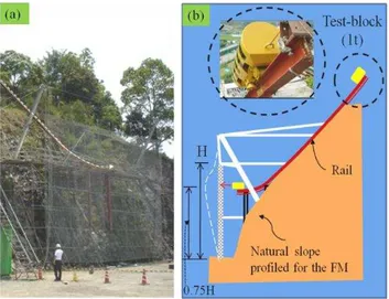 Fig. 2. The FM set up in the LPR test campaign. (a): a picture taken from the FM test site in Kochi, Japan (2008.5.27)