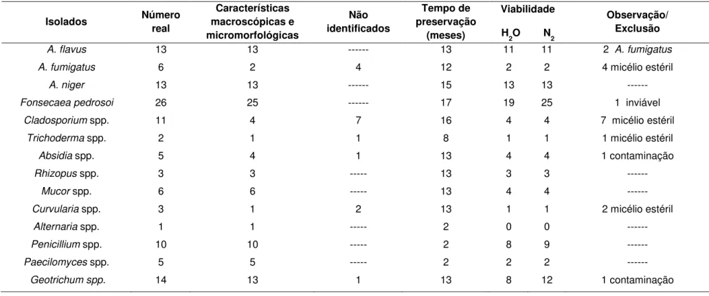 Tabela 2: Resultados das análises morfológicas e da viabilidade após preservação em água esterilizada e em nitrogênio líquido, dos fungos                  filamentosos  Isolados  Número  real  Características  macroscópicas e  micromorfológicas  Não  ident