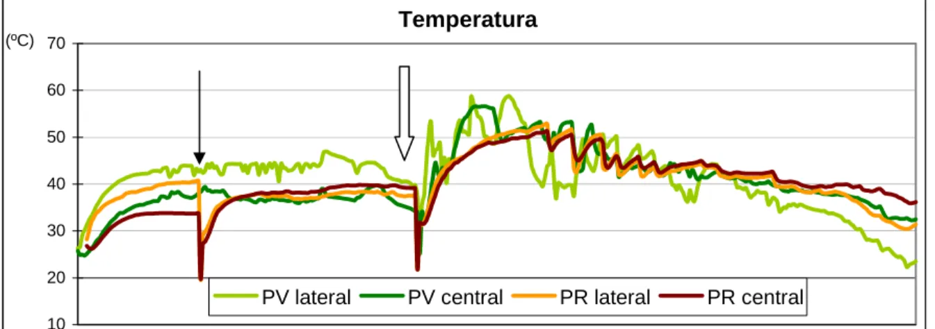 Figura 9: Evolução da temperatura, na parte lateral e central das duas pilhas de  compostagem ao longo do processo, sendo: ↓ reviramento da pilha revirada, ⇓  reviramento com fraccionamento das duas pilhas 