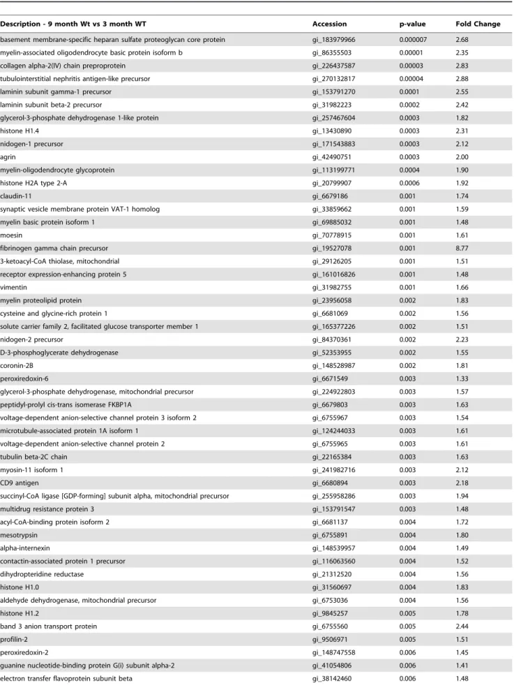 Table 1. Proteins significantly increased in older wild-type mice (9 months) relative to young wild-type mice (3 months).