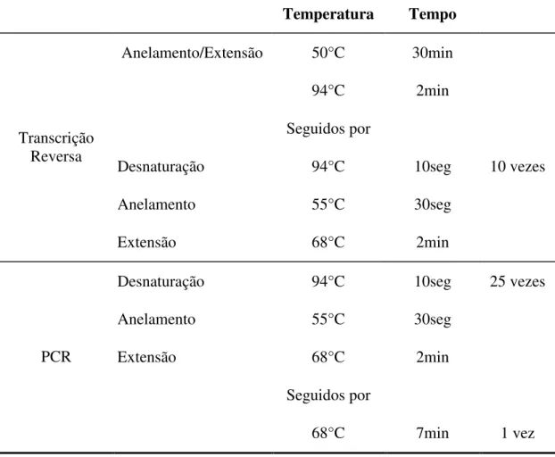 TABELA 3 - CICLOS DE TEMPERATURA E TEMPO DA REAÇÃO  TRANSCRIÇÃO REVERSA (RT) E PCR-HCV  Temperatura  Tempo  Anelamento/Extensão  50°C  30min  94°C  2min  Seguidos por 