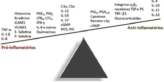 Figura 1.5 - Mediadores pró-inflamatórios e inflamatórios que intervêm nas  respostas inflamatórias agudas e crónicas