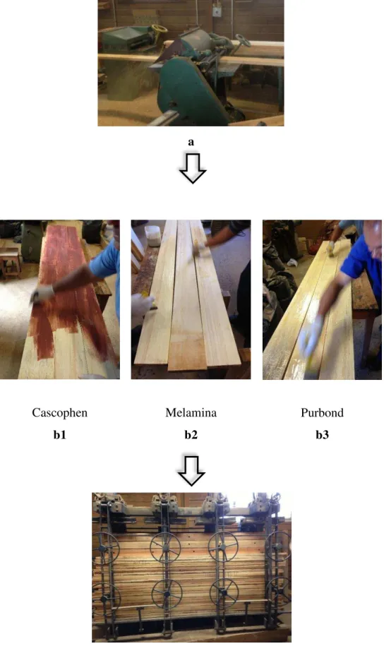 Figura 10 - Representação do processo de preparo das vigas. Inicialmente aplainamento (a), aplicação dos  adesivos Cascophen (b1), Melamina (b2) e Purbond ®  (b3); prensagem (c)
