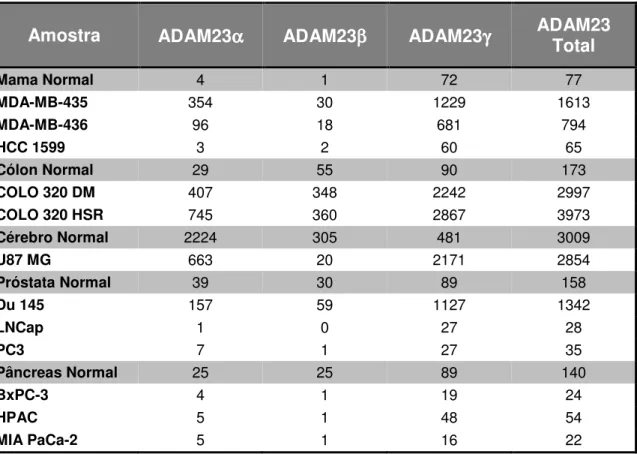 Tabela 2 – Quantificação absoluta do número de cópias das isoformas α, β e γ do gene ADAM23 em  tecidos  normais  e  em  doze  linhagens  tumorais  derivadas  de  cinco  tecidos  distintos  (mama,  cólon,  cérebro, próstata e pâncreas)