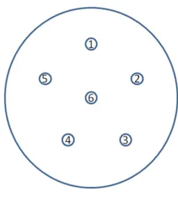 Figura 6 - Esquema da distribuição dos discos de papel nas placas com os extractos: 1- I