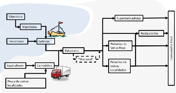 Figura 7 - Cadeia de suprimentos simplificada do Mercado de Pescado no Ver-o-Peso 