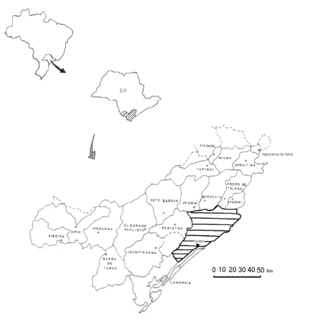 Figura 1 - Localização das áreas de estudos, municípios de Iguape e Peruíbe. Adaptado  de (Borges, 1997) 