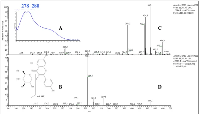 Figura 3.43. Pico 91 tr= 58.4 min no extracto de vinho Moscatel: (A) Espectro de absorção  (240-450 nm) (B) esquema de fragmentação do campferol-3-O-glucósido; (C) Espectro de  massa (80-500); (D) Espectro MS/MS do ião m/z 447 