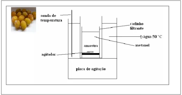 Figura 2.3. Preparação de extractos de peles de uva Moscatel para análise por LC 155    (2)  Ensaios in vivo, método de preparação adaptado de Ahna 183 et al., (2002): 