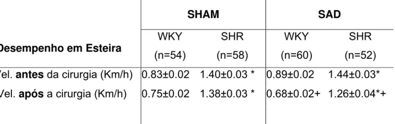 Tabela 2 - Valores absolutos de velocidade máxima atingida durante os testes de capacidade  máxima antes e após as cirurgias SHAM e SAD