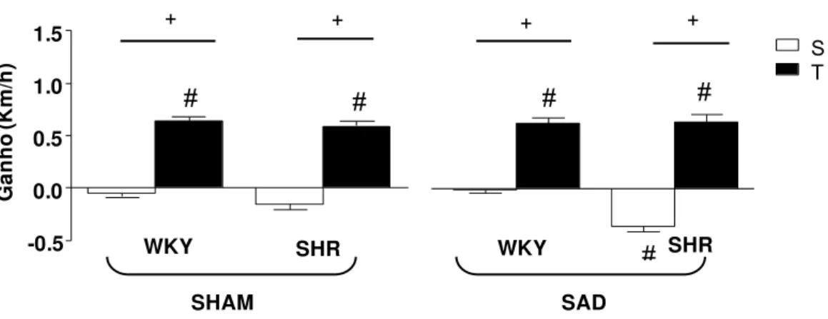Figura 7 - Comparação das alterações no desempenho em esteira (ganho) nos ratos  WKY e SHR, SHAM e SAD submetidos aos protocolos de treinamento e  sedentarismo