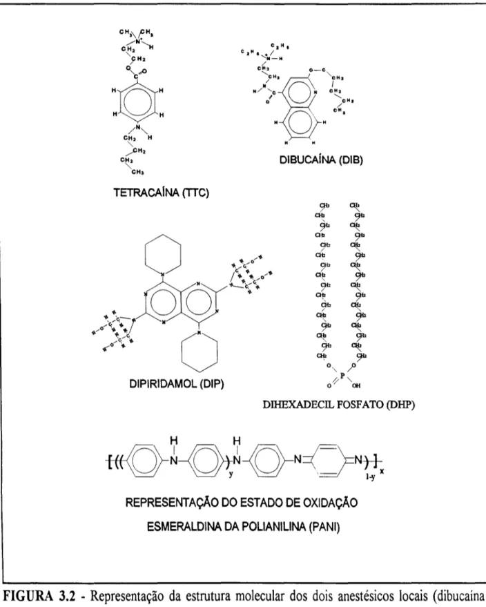 FIGURA 3.2 - Representação da estrutura molecular dos dois anestésicos locais (dibucaína e tetracaína), do vaso dilatador (dipiridamol) e do polímero condutor (PANI)