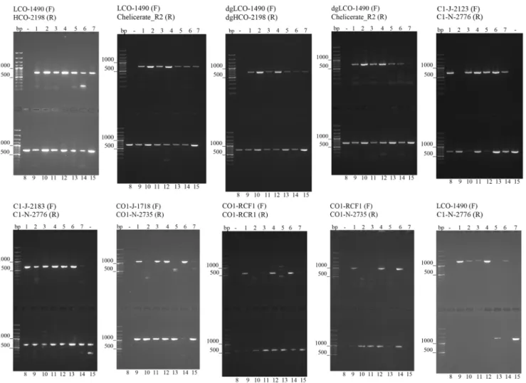 Figure 3. Gel images showing different success rates in cox1 amplification using the ten tested primer pairs.