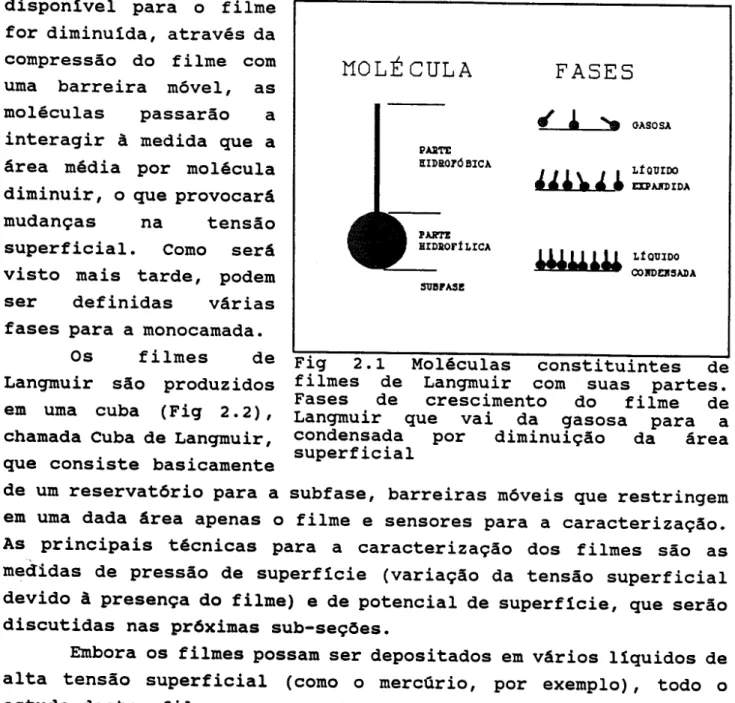 Fig 2.1 Moleculas constituintes de filmes de Langmuir com suas partes.