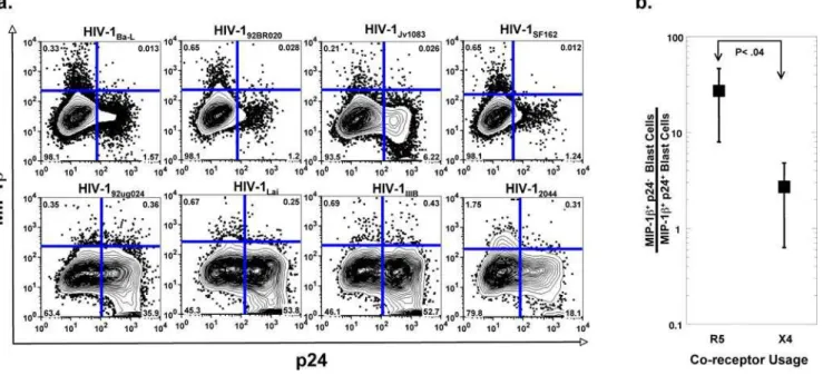 Figure 4. Exclusive expression of p24 and CCL4 in CD4+ T cells undergoing a primary immune response in the presence of R5 but not X4 HIV-1-