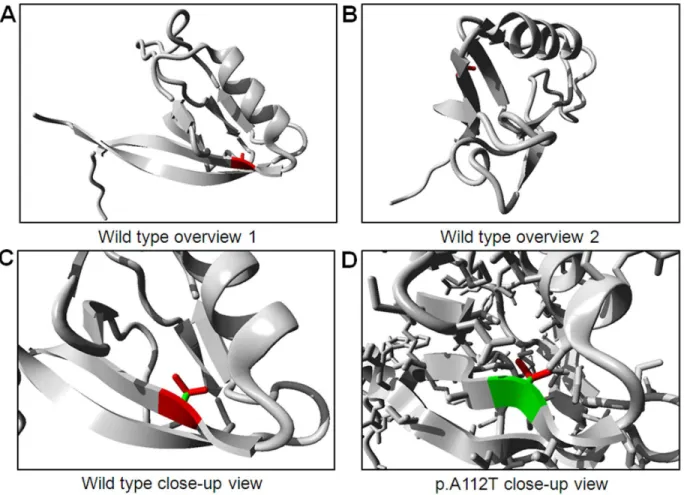 Figure 2. Protein structures of the PDZ 1 domain, including protein position 112 in the TJP2 protein