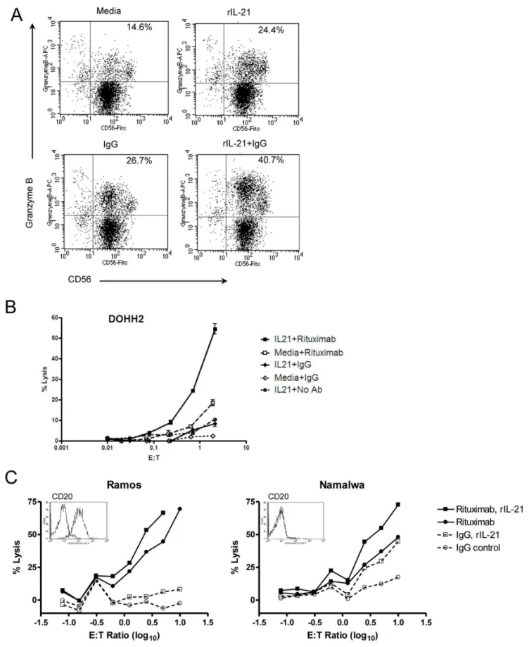 Figure 1. Treatment with rIL-21 enhances ADCC activity in human NK cells. (A) Induction of granzyme B in NK cells cultured with rIL-21, IgG or both