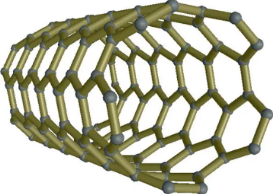 Figure   1.   Section   of   carbon   nanotube   designed   with   a   graphene   mesh